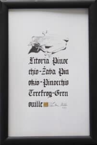 Żaba pinokio, 19/29 cm, 2020r.