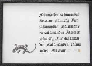 Salamandra plamista, 24/35 cm, 2020r.