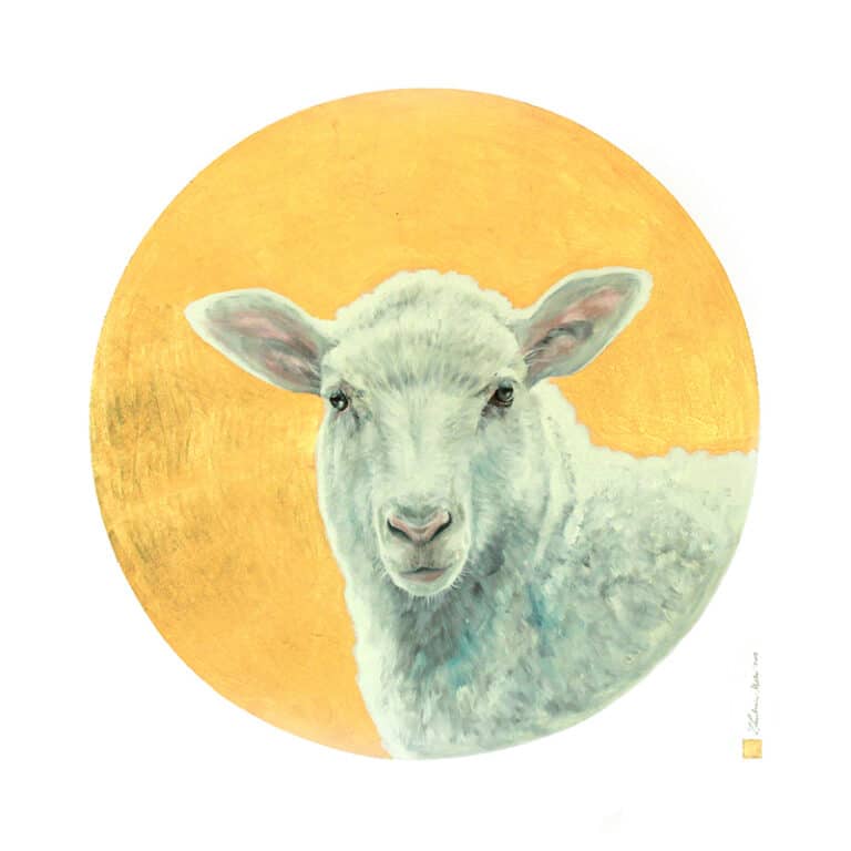 Baranek, 90/90 cm, olej na płótnie, 2018r.