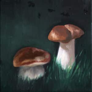 Grzyby, 20/20 cm, olej na płótnie, 2013r.