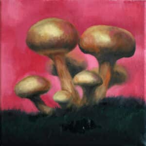Grzyby, 20/20 cm, olej na płótnie, 2013r.