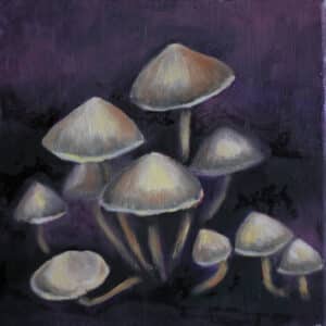 Grzyby, 20/20 cm, olej na płótnie, 2013r.