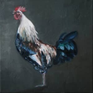 Kogut, 30/30 cm, olej na płótnie, 2013r.