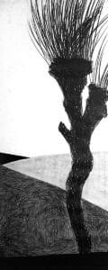 Praca plenerowa, Drzewa, grafit na papierze, 150/50 cm, 2003r.