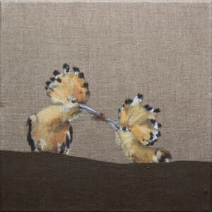 Dudki, 30/30 cm, olej na surowym płótnie, 2010r.