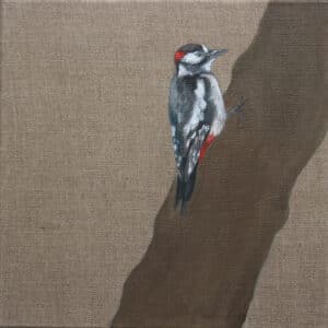 Dzięcioł, 30/30 cm, olej na surowym płótnie, 2010r.