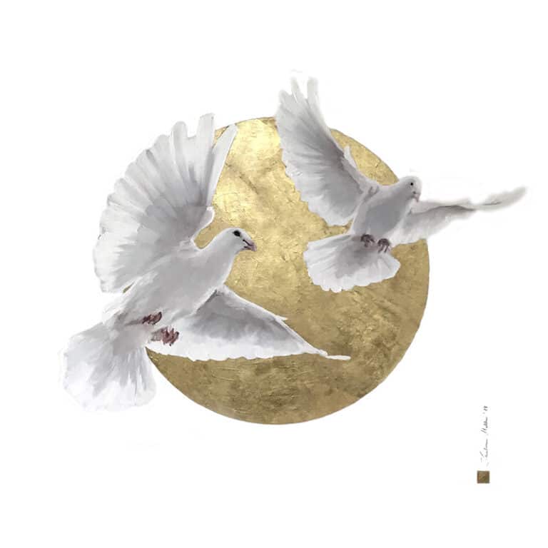 Gołąbki, 60/60 cm, olej na płótnie, 2018r.