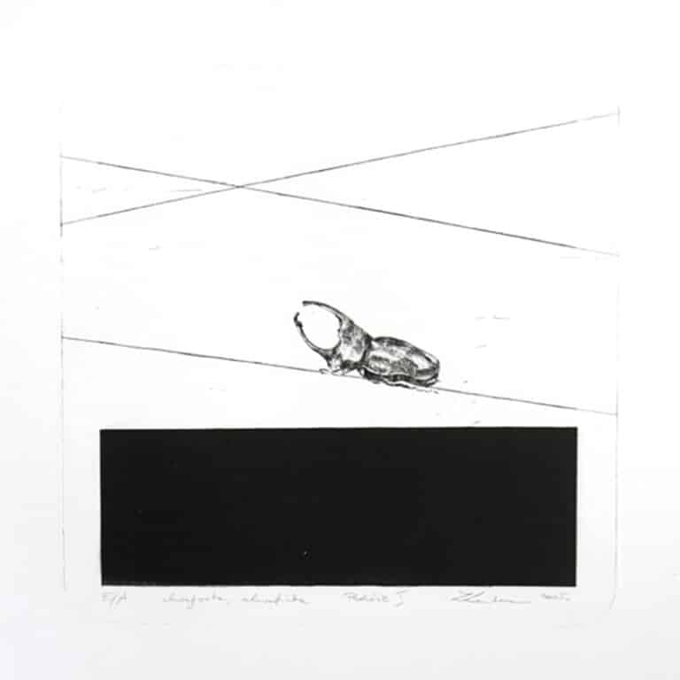 Podróże 1, 30/30 cm, akwaforta, akwatinta, 2005r.