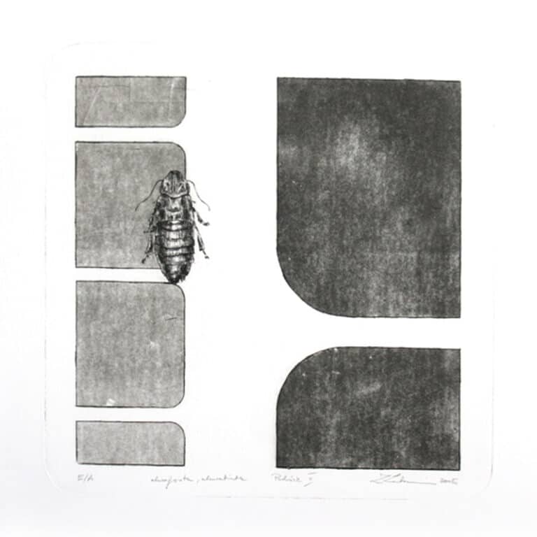 Podróże 2, 30/30 cm, akwaforta, akwatinta, 2005r.