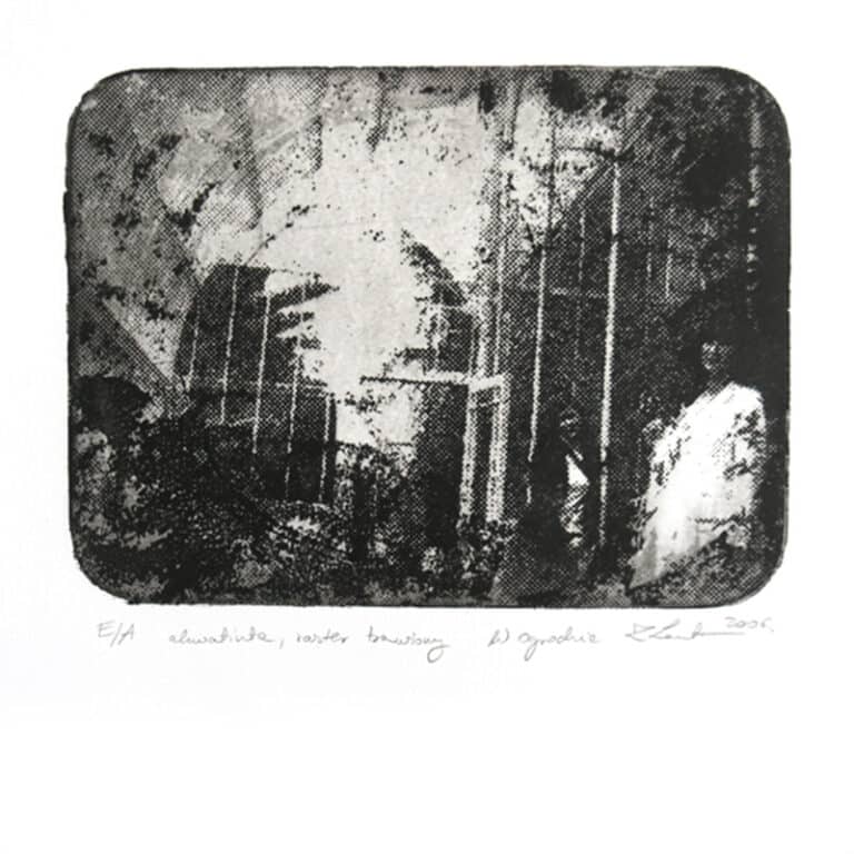 W ogrodzie 1, 15/20 cm,technika mieszana, 2006r.