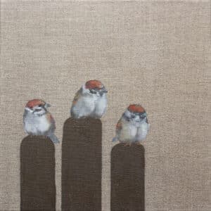 Wróble, 30/30 cm, olej na surowym płótnie, 2010r.
