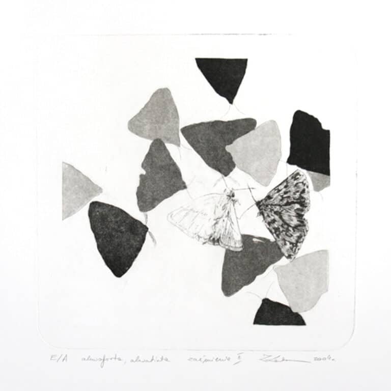 Zaćmienie 2, 20/20cm, sucha igła, 2004r.