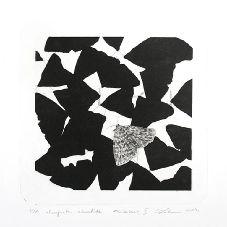 Zaćmienie 3, 20/20cm, sucha igła, 2004r.