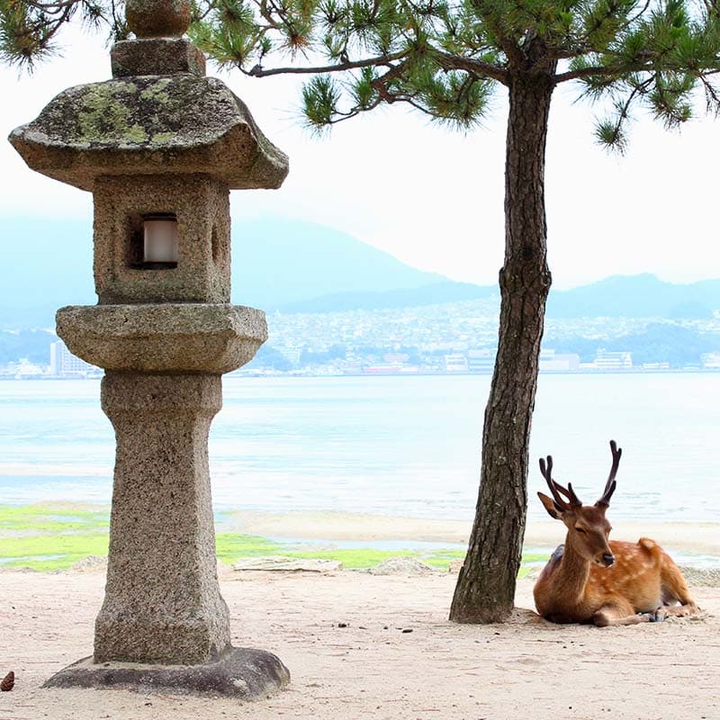 Miyajima