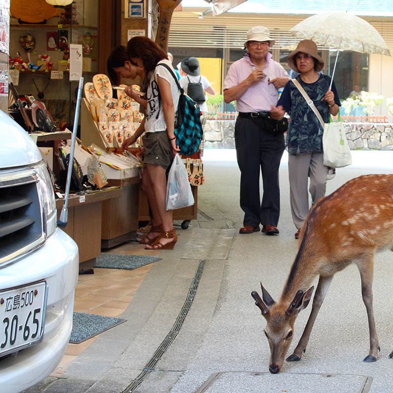 Miyajima