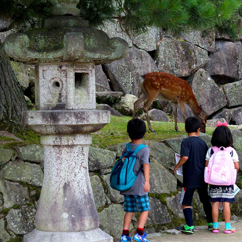 Miyajima