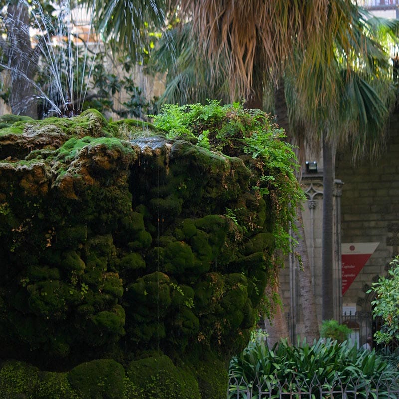 Katedra w Barcelonie