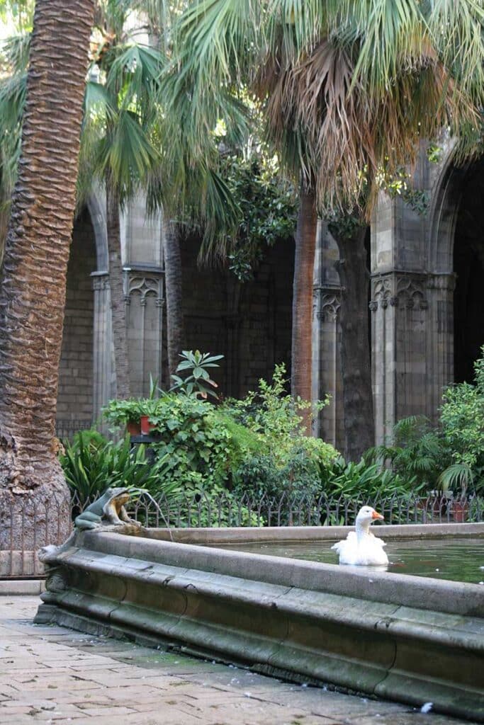 Katedra w Barcelonie