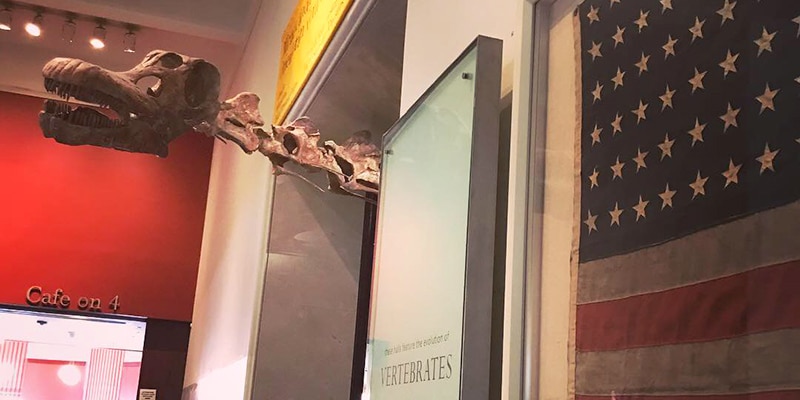 American Museum of Natural History