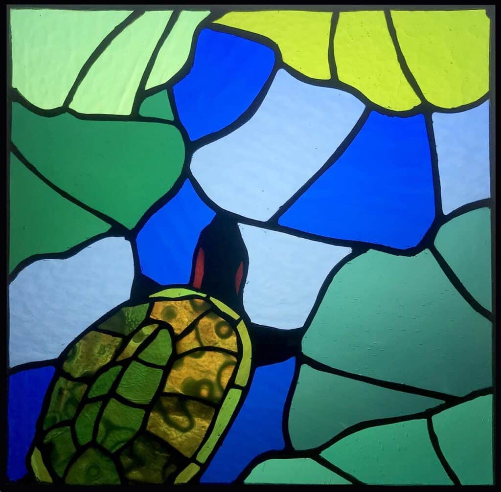 Żółwica, 34/34 cm, 2021r.