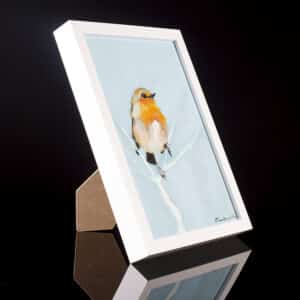 rudzik zimowy w ramce