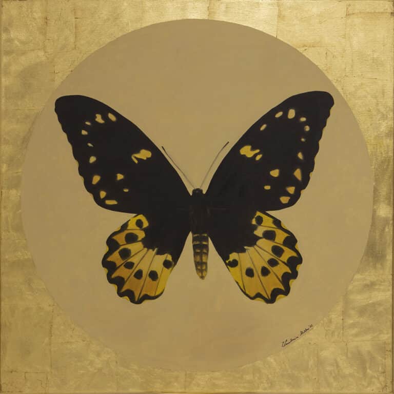 Ornithoptera chimaera chimaera f. loc. dracaena samica, olej na płótnie, 90/90cm, 2022r.