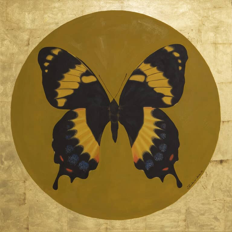 Papilio homerus samica, olej na płótnie, 90/90cm, 2022r.