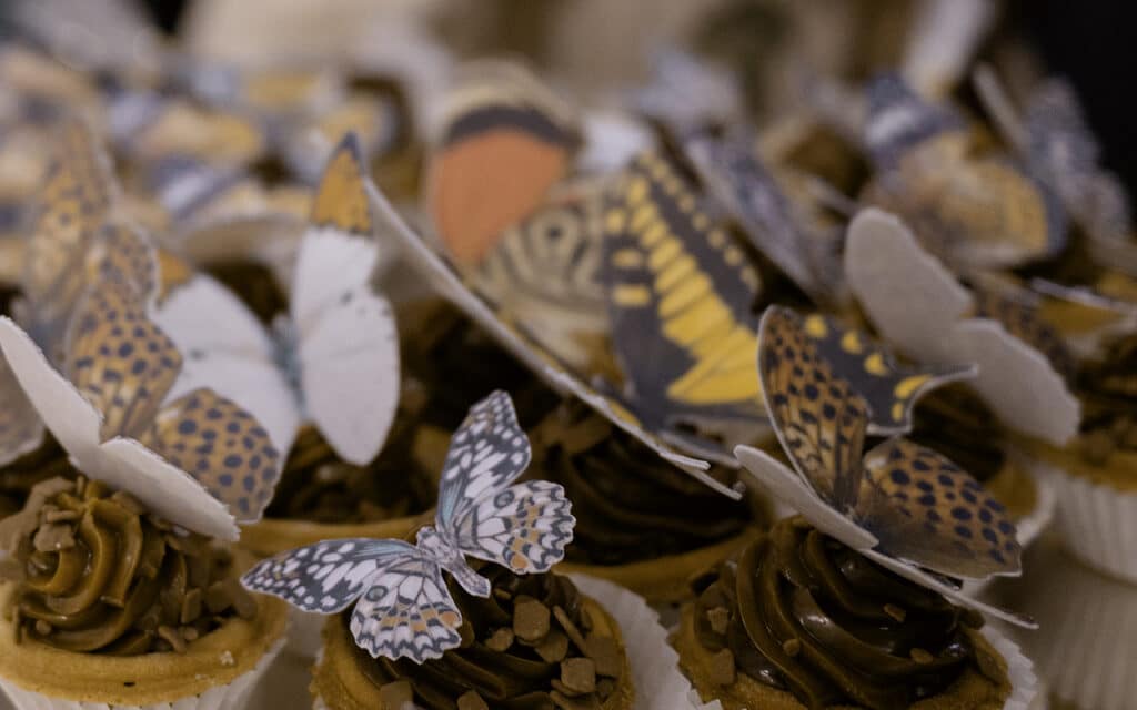 wernisaż wystawy ,,Martwe motyle. Kolekcja 1'' w Poznaniu. Ciastka z motylami