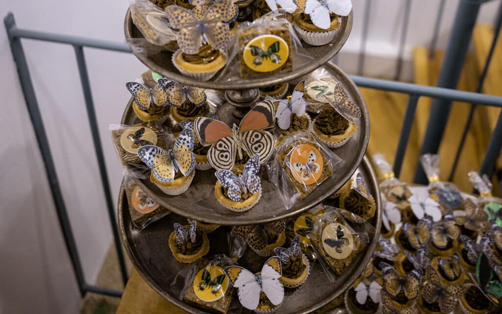 wernisaż wystawy ,,Martwe motyle. Kolekcja 1'' w Poznaniu. Ciastka z motylami