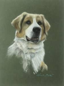 rysunek suchy pastel pies