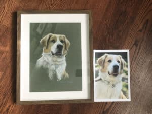 rysunek suchy pastel pies