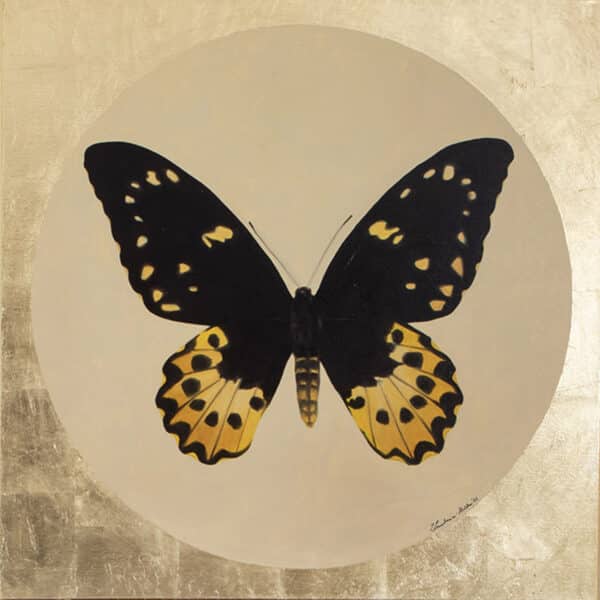 Motyl 9 - obraz olejny