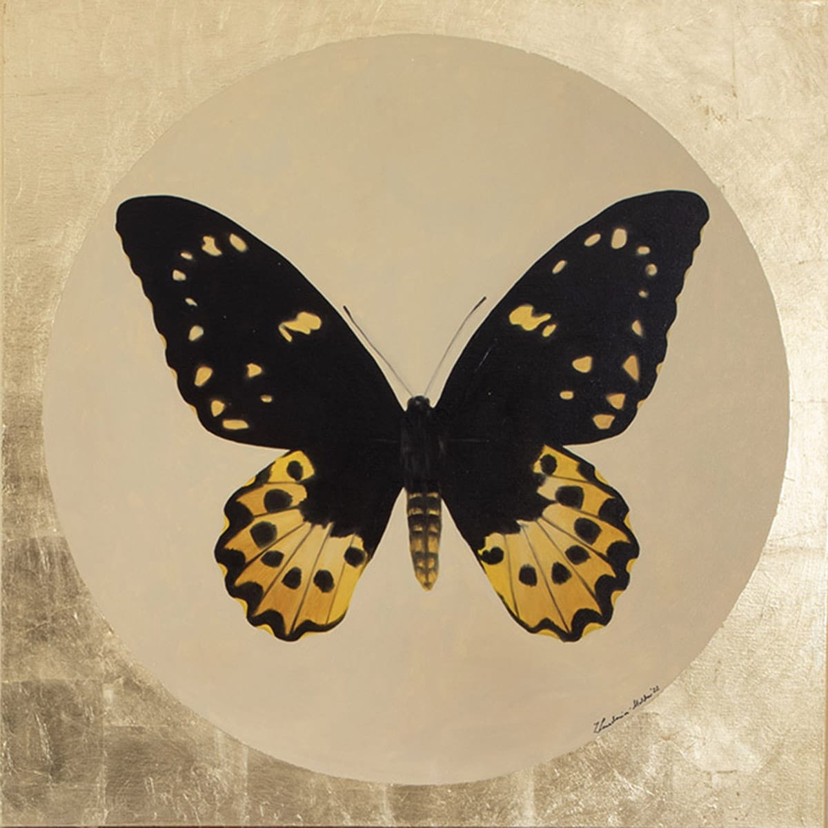 Motyl 9 - obraz olejny