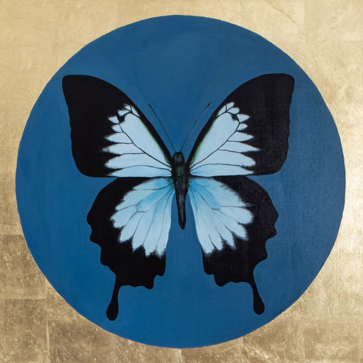 Motyl 1 - obraz olejny