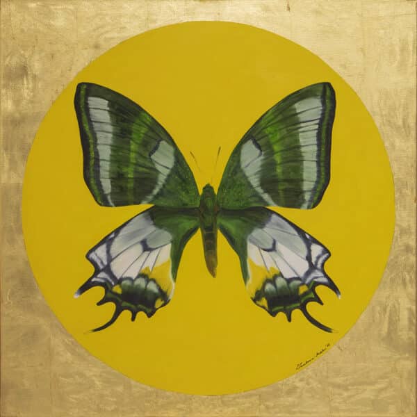 Motyl 3 - obraz olejny