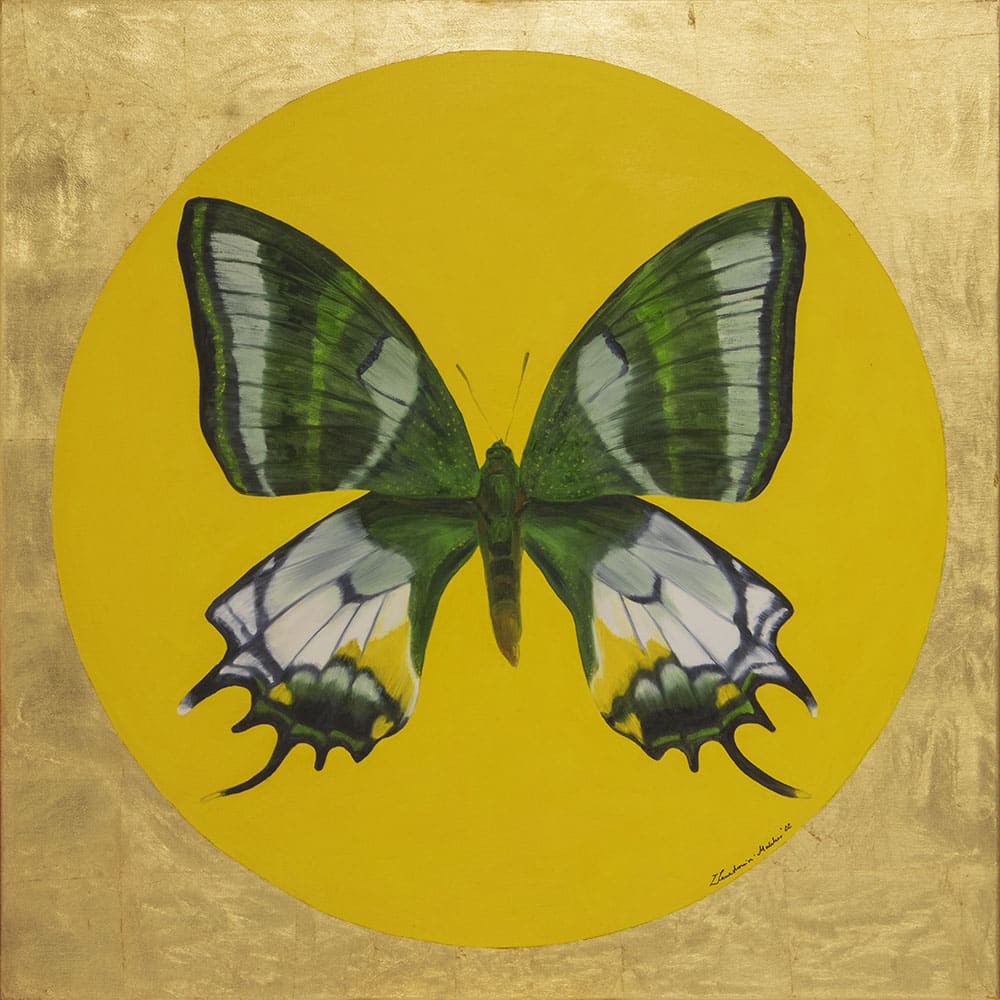 Motyl 3 - obraz olejny