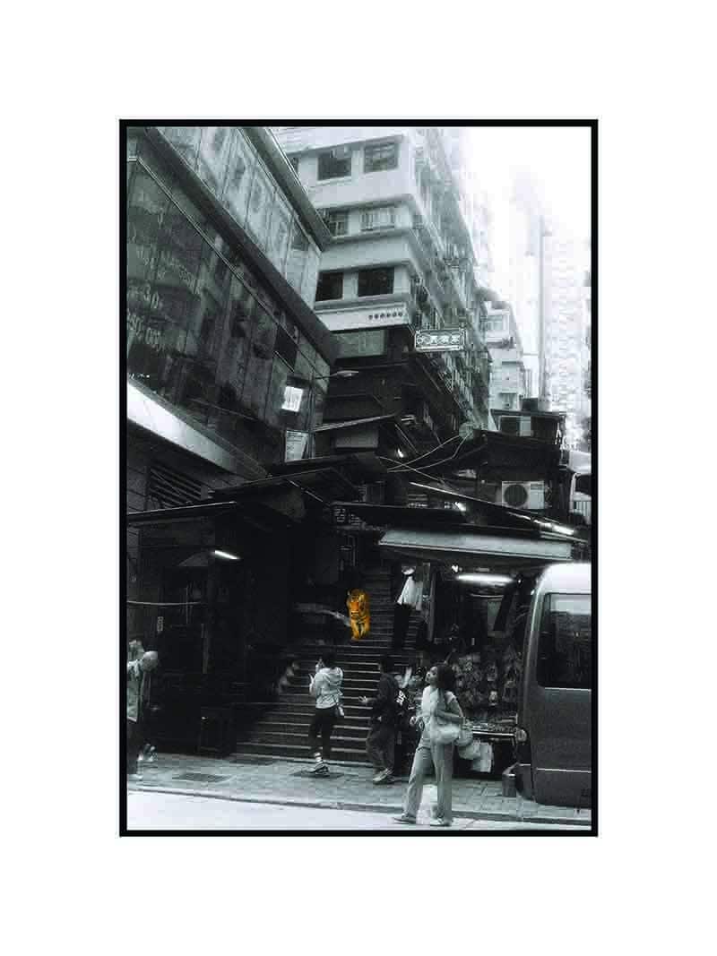 Ostatni tygrys HK 2 - art print - obrazek 2