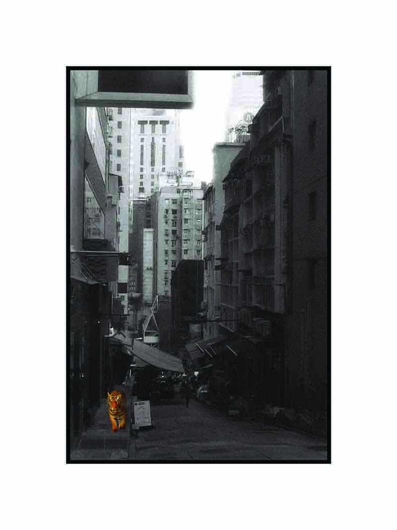 Ostatni tygrys HK 5 - art print - obrazek 2