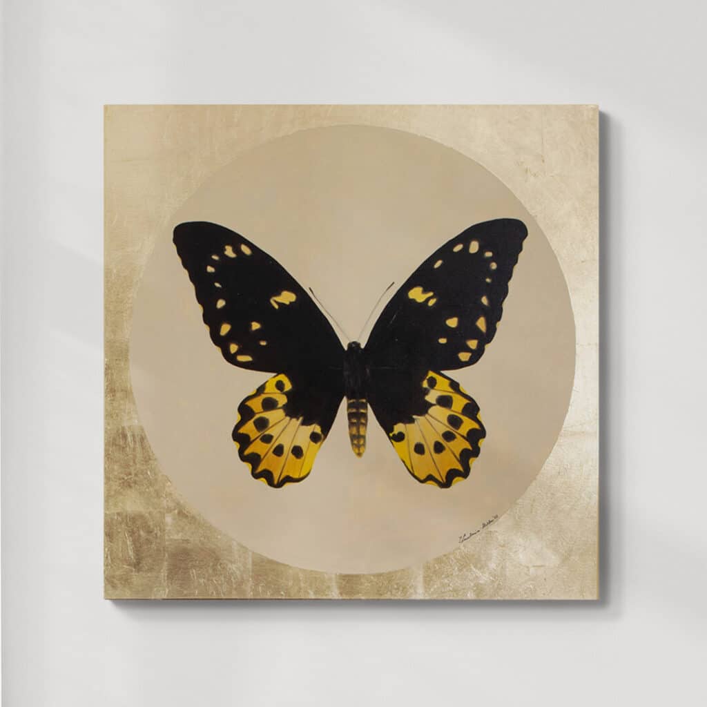 Motyl 9 | Ornithoptera chimaera | olej na płótnie | 90x90 cm | 2022 | Zuzanna Lenartowicz-Malcher | do kupienia