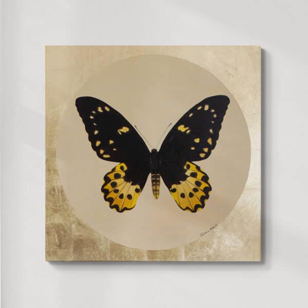 Motyl 9 | Ornithoptera chimaera | olej na płótnie | 90x90 cm | 2022 | Zuzanna Lenartowicz-Malcher | do kupienia