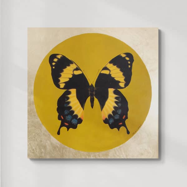 Motyl 2 | olej na płótnie | Papilio homerus, samica | 90x90 cm | 2022 | Zuzanna Lenartowicz-Malcher | obraz do kupienia