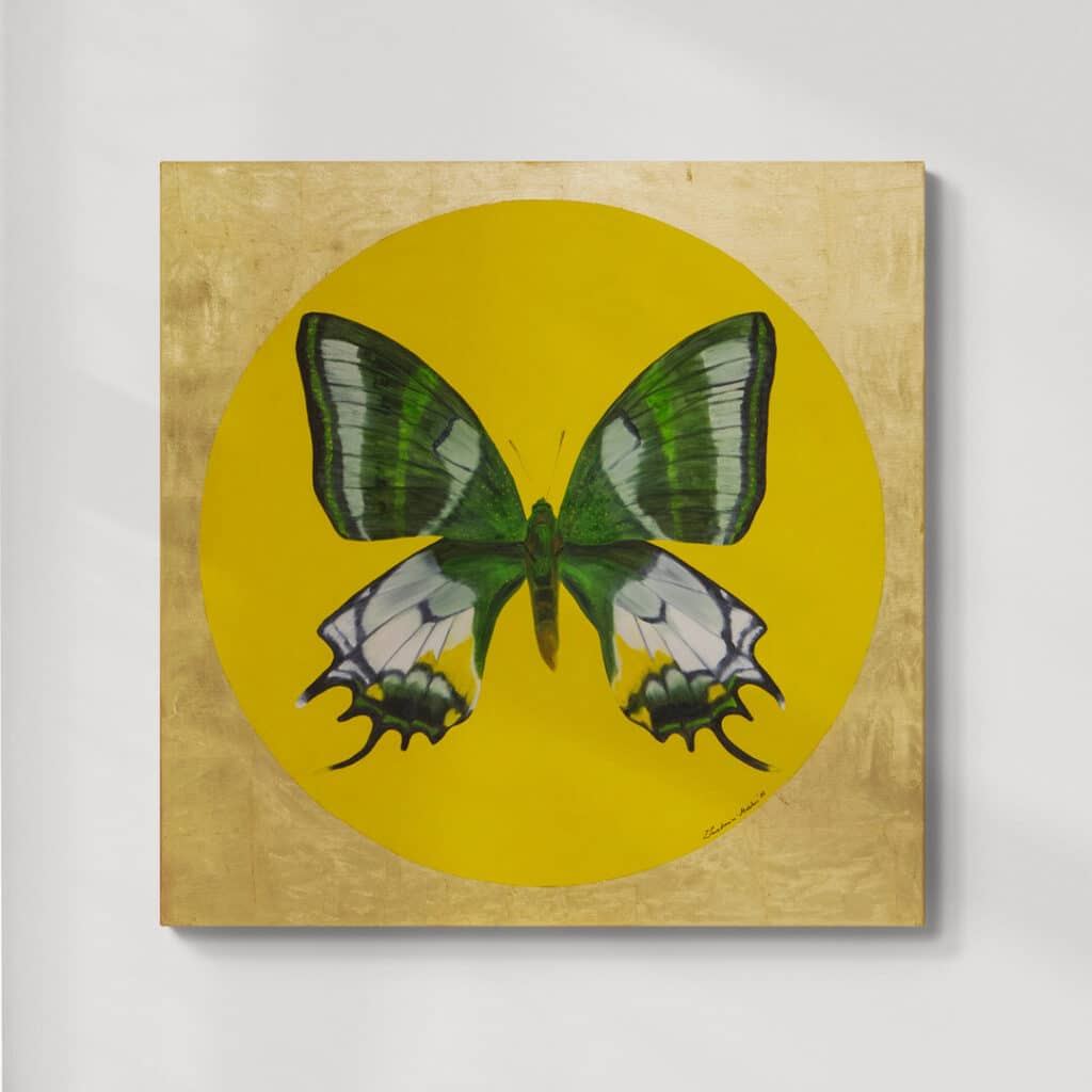 Motyl 3 | Teinopalpus aureus eminens | olej na płótnie| 90x90 cm | 2022 | Zuzanna Lenartowicz-Malcher | obraz do kupienia