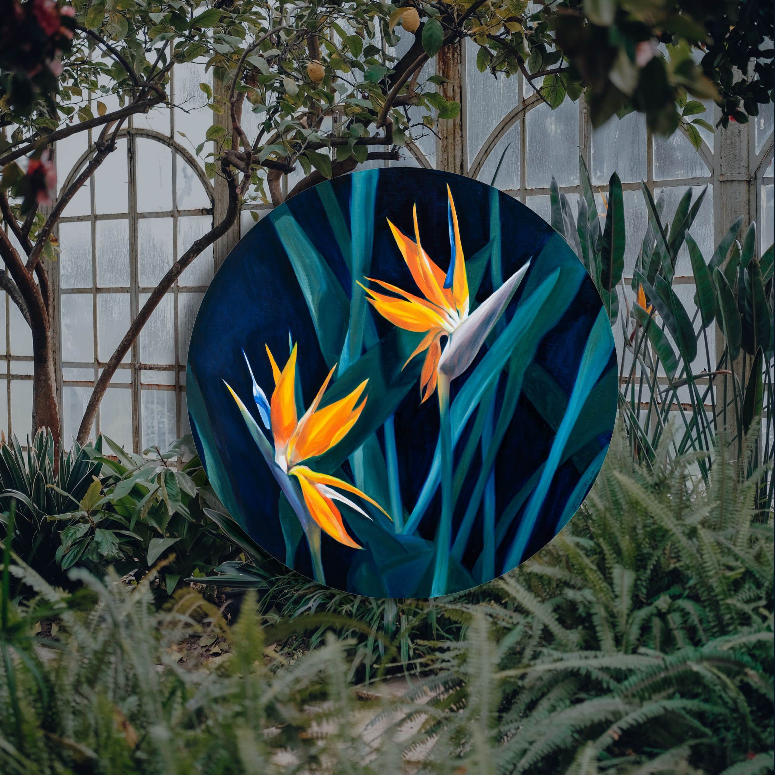 Rajskie ptaki - reprodukcja - obrazek 4