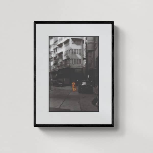 Ostatni tygrys HK 10 | grafika | 2023 | Zuzanna Lenartowicz-Malcher