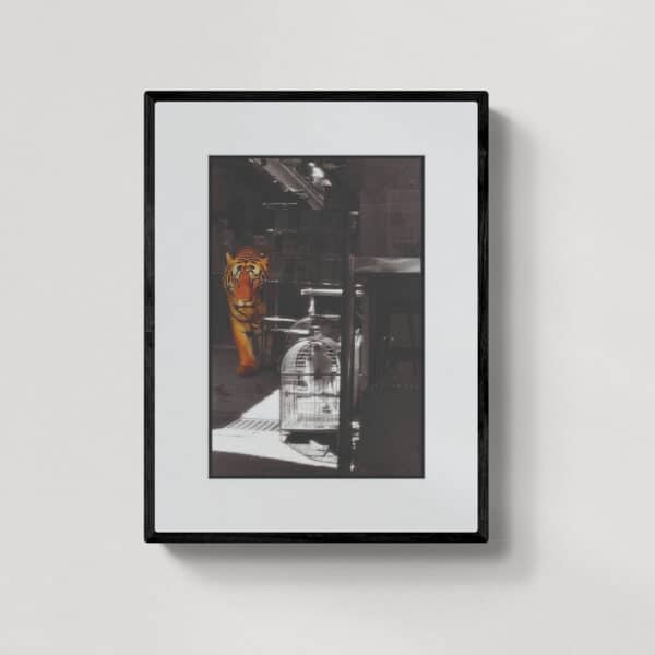 Ostatni tygrys HK 11 | grafika | 2023 | Zuzanna Lenartowicz-Malcher