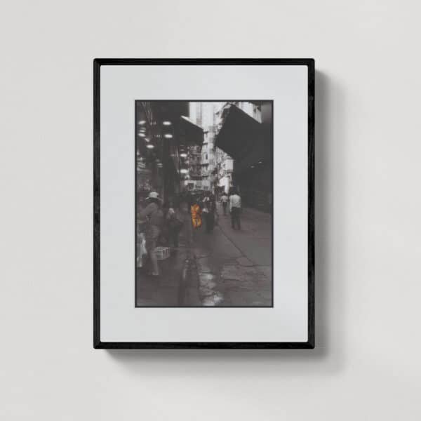 Ostatni tygrys HK 8 | grafika | 2023 | Zuzanna Lenartowicz-Malcher