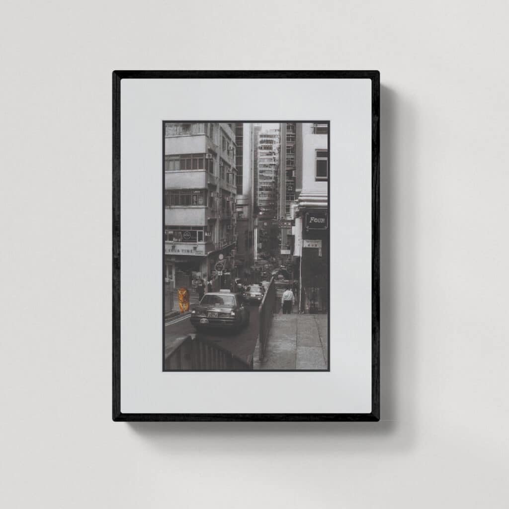 Ostatni tygrys HK 9 | grafika | 2023 | Zuzanna Lenartowicz-Malcher