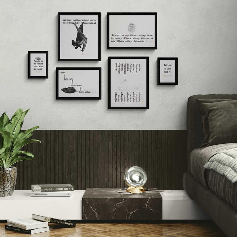 Zwierzęta niemagiczne | nr 13 - obrazek 2