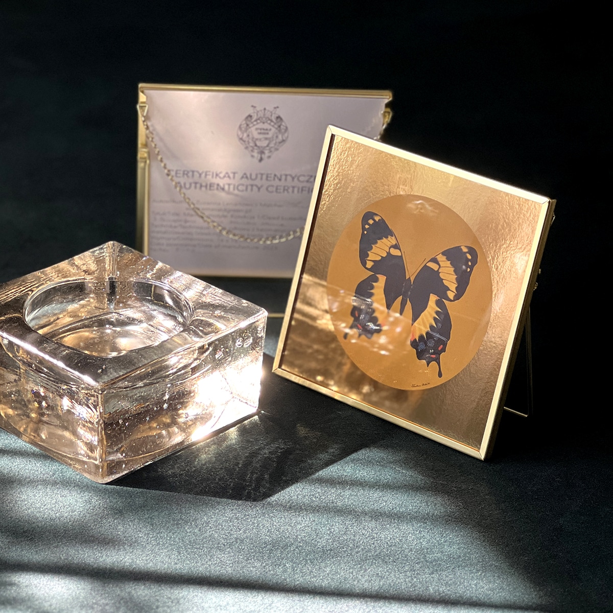 2 Motyl czarno-żółty - art print