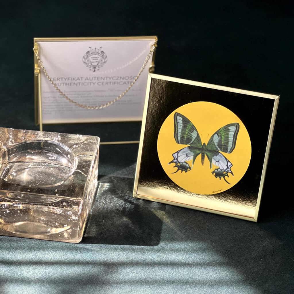 Motyl 3 | Teinopalpus aureus eminens | art print | 16x16 cm | 2022 | Zuzanna Lenartowicz-Malcher | obraz na prezent